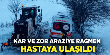 file_0000000065e071f7bdf4d1c0ee8eb744