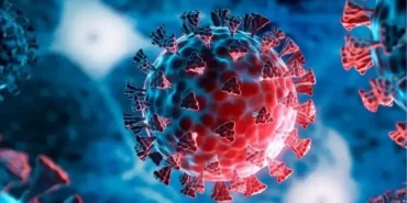 h3n2-virusu-nedir-tehlikeli-mi-yeni-virus-h3n2-19252229_1375_amp