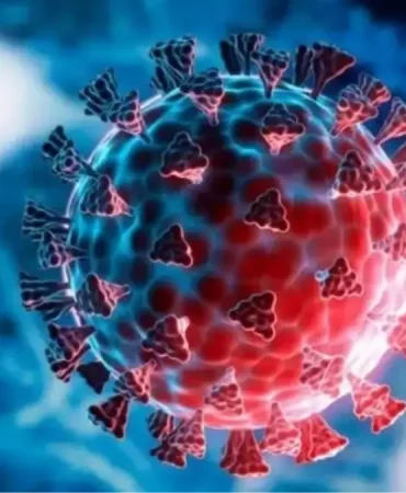 h3n2-virusu-nedir-tehlikeli-mi-yeni-virus-h3n2-19252229_1375_amp