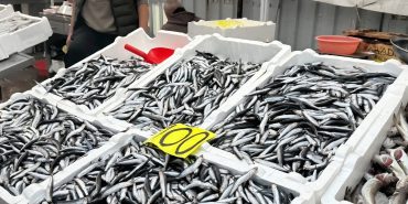 tezgahta-100-liraya-dusen-hamsi-yogun-ilgi-gordu-19748