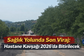 file_00000000439071f487e1658b8a1f78e2