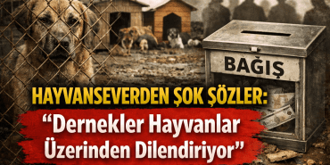 file_000000009c8c71f4b34f93d94d480ce2