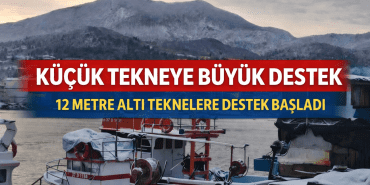 file_000000005590720a96a6fab487203153