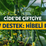 file_000000007ab472469b92885f5e8e5159