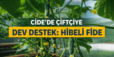 file_000000007ab472469b92885f5e8e5159