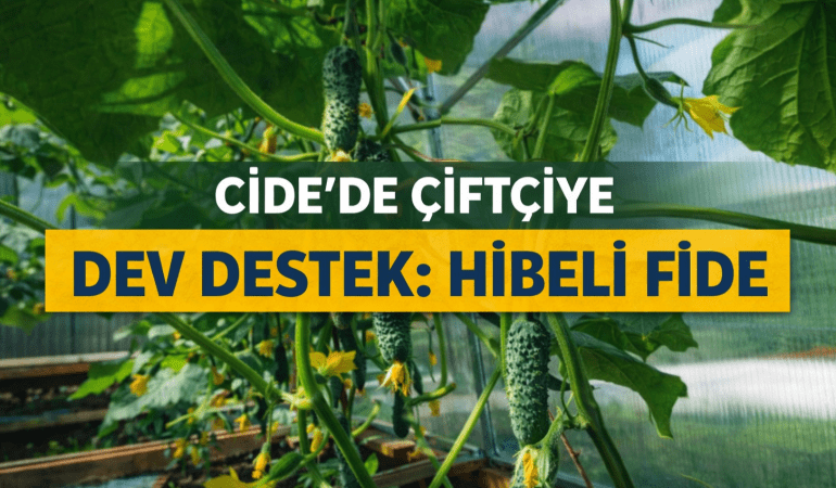 file_000000007ab472469b92885f5e8e5159