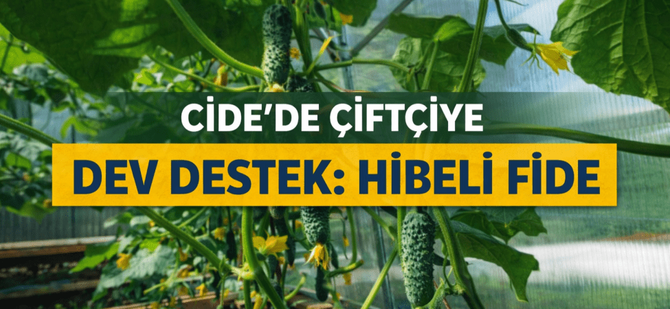 file_000000007ab472469b92885f5e8e5159