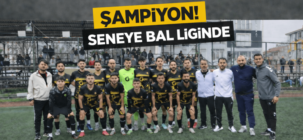 file_00000000bf04724384eb3a3dea6a9126