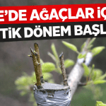 file_00000000d68c71f48548acdbeb4f7444