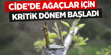 file_00000000d68c71f48548acdbeb4f7444